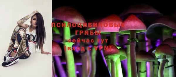 гидропоника Сафоново