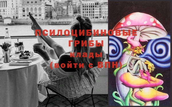 твердый Вязьма