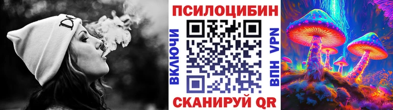 как найти закладки Железногорск Галлюциногенные грибы Psilocybine cubensis