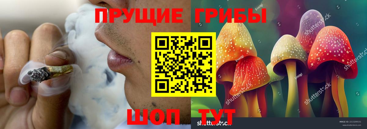 Железногорск  Псилоцибиновые грибы GOLDEN TEACHER  Вход с VPN  Галлюциногенные грибы мицелий 